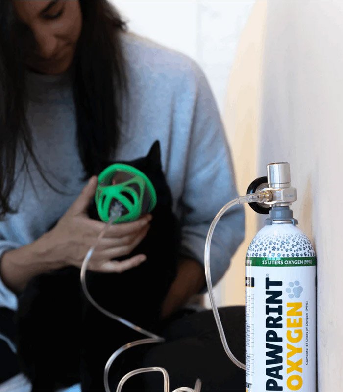 Kit de oxígeno para gatos de 0 a 10 kg - Pawprint