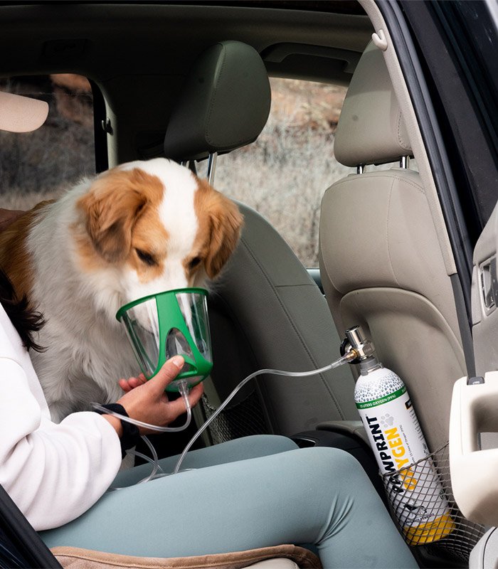 Kit de oxígeno para perros - Pawprint
