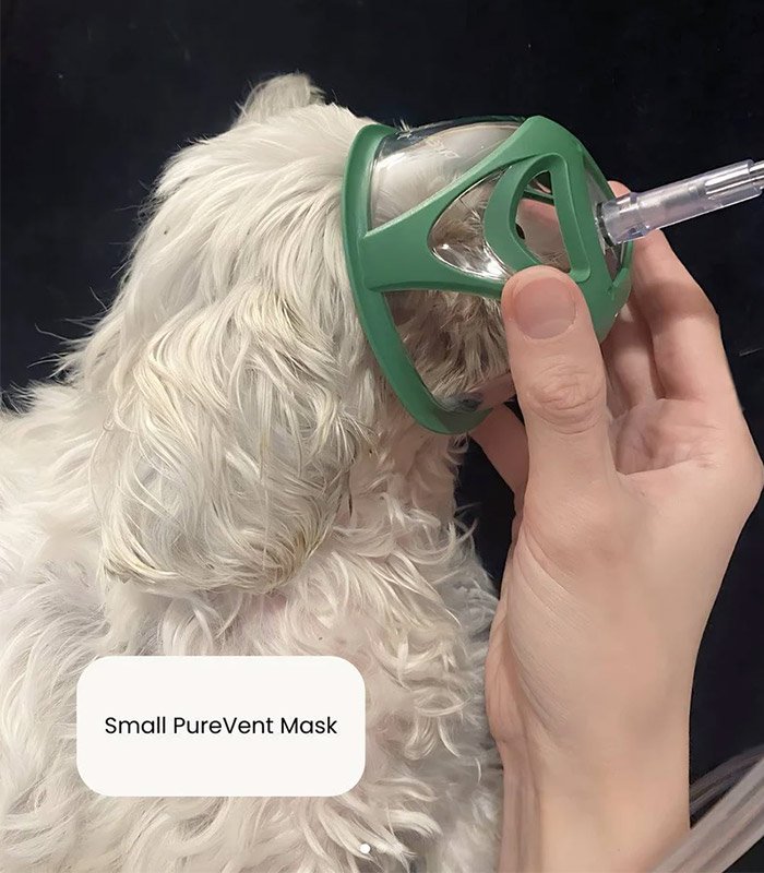 Mascarilla PureVent para animales - Pawprint