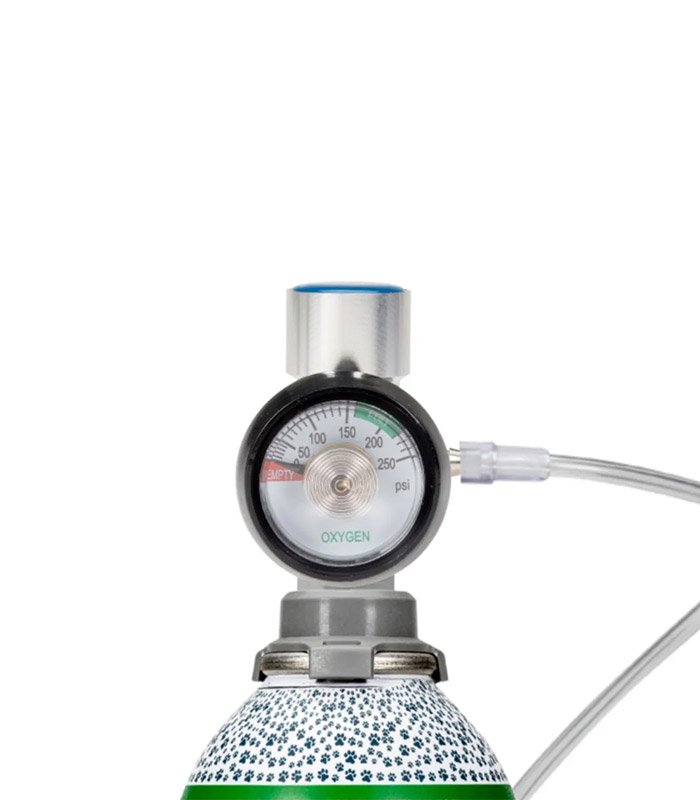 Regulador de flujo de oxígeno para animales - PawPrint