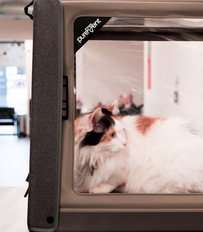 Cámara para Oxigenoterapia Veterinaria PureVent M 0-14 kg – Pawprint