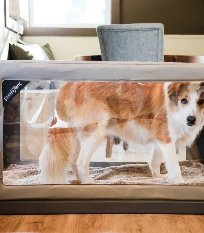 Cámara para oxigenoterapia veterinaria PureVent L 14–30 kg – PawPrint