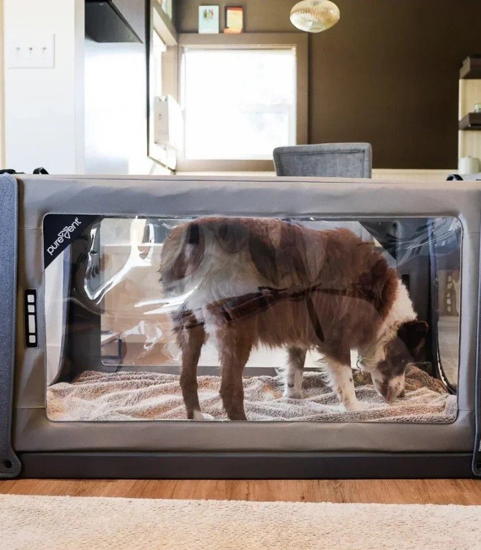 Cámara para oxigenoterapia veterinaria PureVent L 14–30 kg – PawPrint