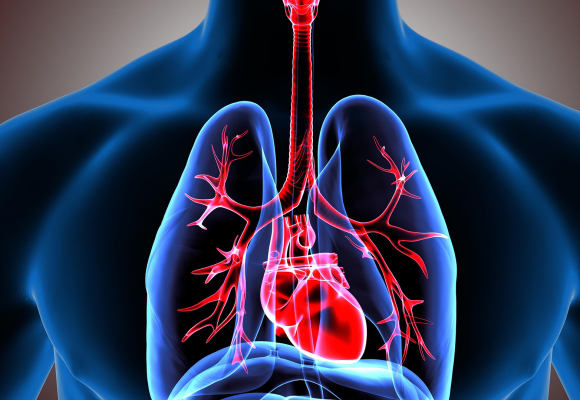 Guía para la "rehabilitación respiratoria"
